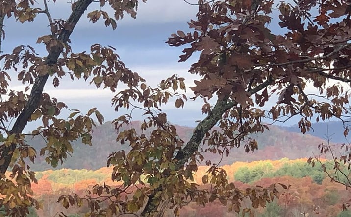 Pictures of Land property located at Lot 24 Grand Laurel, Brasstown, NC 28902 for sales - image #1