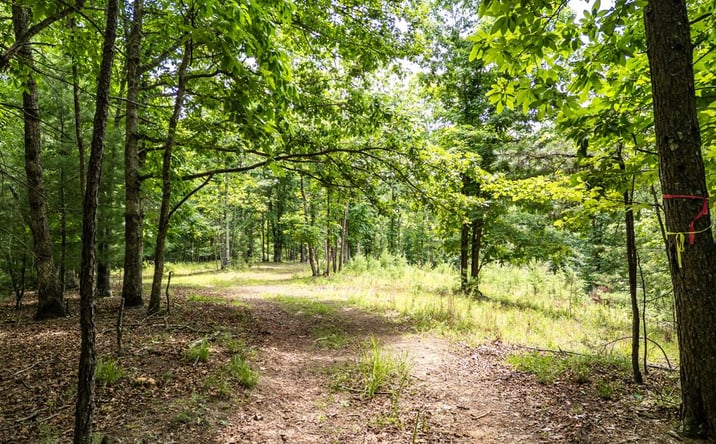 Pictures of Land property located at Lt 2 Stormy Ridge, Brasstown, NC 28902 for sales - image #1