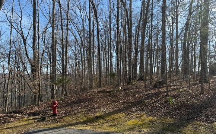 Pictures of Land property located at 0 Mountain Harbor Drive, Sparta, TN 38583 for sales - image #1