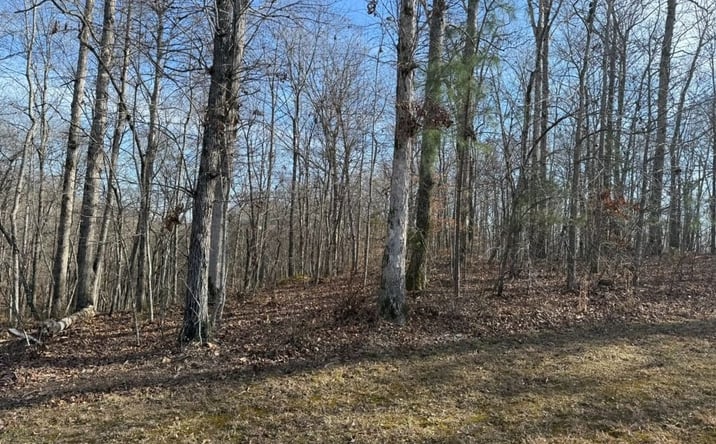 Pictures of Land property located at 0 Riverwatch Trace, Sparta, TN 38583 for sales - image #1