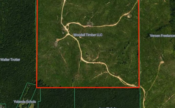 Pictures of Land property located at Off Of Fishers Crossing, Duck Hill, MS 38925 for sales - image #1
