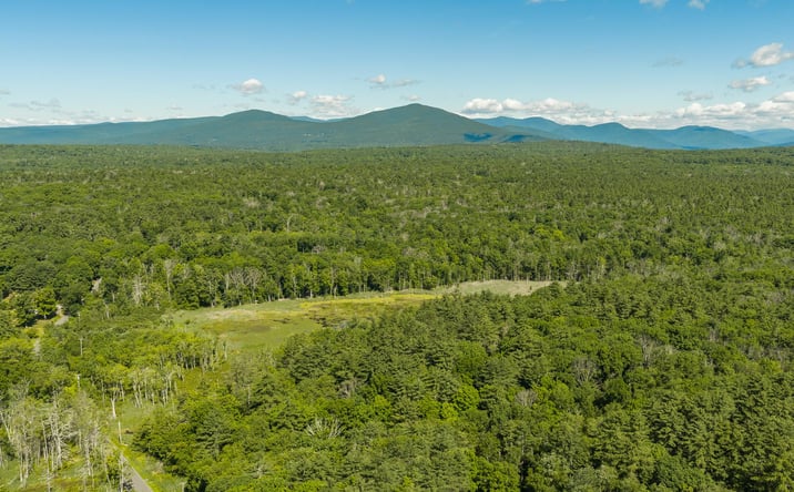 Pictures of Land property located at TBD Buck Road, Stone Ridge, NY 12484 for sales - image #1