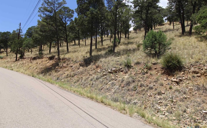 Pictures of Land property located at 105 Valley View Drive, Ruidoso, NM 88345 for sales - image #1