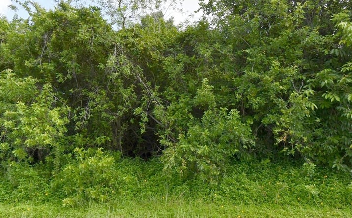 Pictures of Land property located at 1081 SW Dartmouth Avenue SW, Port St. Lucie, FL 34953 for sales - image #1