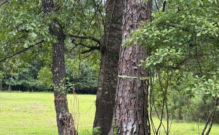Pictures of Land property located at 0 Aaron Lane, Summerville, SC 29485 for sales - image #1