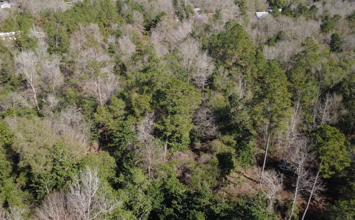 Pictures of Land property located at McGehee Road, Bogalusa, LA 70427 for sales - image #1