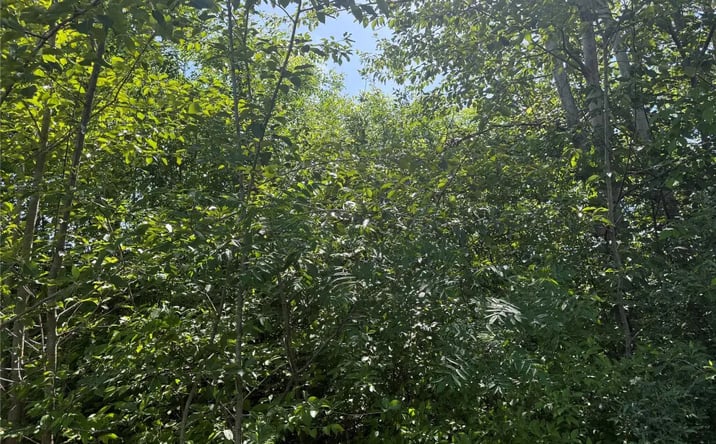 Pictures of Land property located at Tbd Hawleys Corners Road, Highland, NY 12528 for sales - image #1