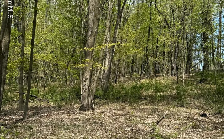Pictures of Land property located at 120 Floyd Ackert Road, West Park, NY 12493 for sales - image #1