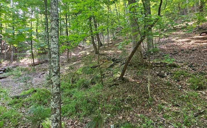 Pictures of Land property located at 1111 Quail Cove Drive, Jasper, GA 30143 for sales - image #1