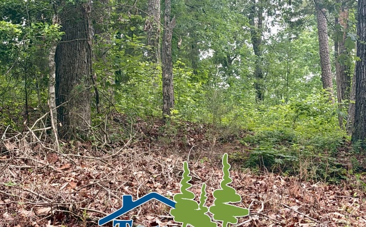 Pictures of Land property located at Gore Springs Community, Gore Springs, MS 38929 for sales - image #1