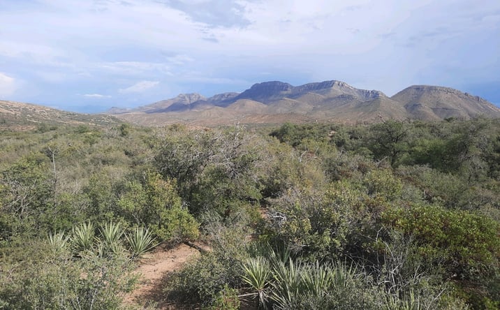 Pictures of Land property located at 1XX N CHICORY LN, EL CAPITAN, AZ 85501 for sales - image #1
