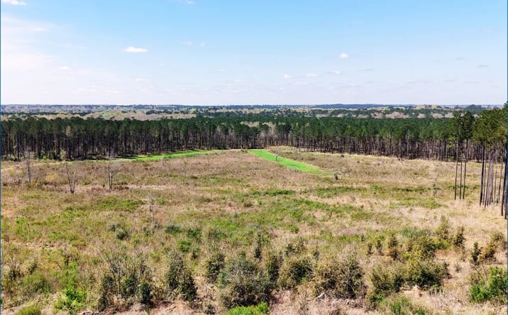 Pictures of Land property located at Oldenburg Road, Meadville, MS 39653 for sales - image #1