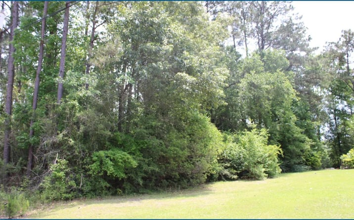 Pictures of Land property located at Pinewood Road, Bogalusa, LA 70427 for sales - image #1