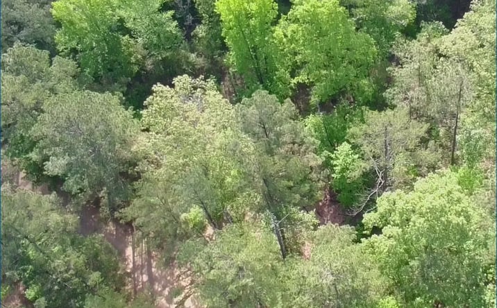 Pictures of Land property located at 3.06 Acres in Oktibbeha County, Sturgis, MS 39769 for sales - image #1