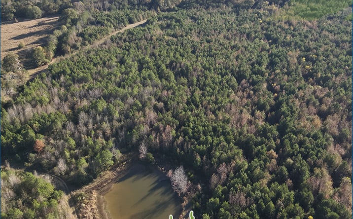 Pictures of Land property located at 263 Acres in Hinds County, Crystal Springs, MS 39059 for sales - image #1