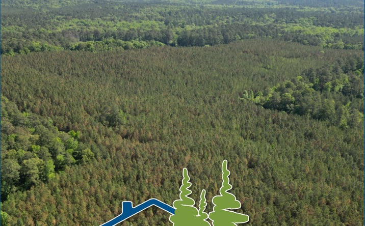 Pictures of Land property located at Choctaw Lake Road area, US Forestry Road #968-2, Ackerman, MS 39735 for sales - image #1