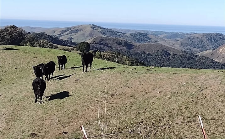 Pictures of Land property located at 9500 Santa Rosa Creek, Templeton, CA 93465 for sales - image #1