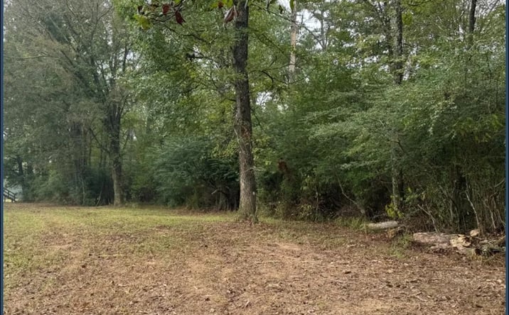 Pictures of Land property located at Columbia Purvis Road, Columbia, MS 39429 for sales - image #1