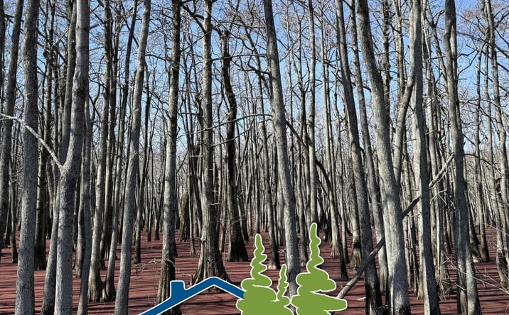 Pictures of Land property located at Bellchase Road, Minter City, MS 38944 for sales - image #1