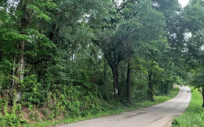 Pictures of Land property located at Sie Jenkins Road, Bogalusa, LA 70427 for sales - image #1