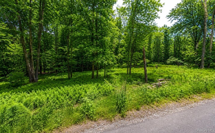 Pictures of Land property located at 135 Rose Valley, Monticello, NY 12701 for sales - image #1