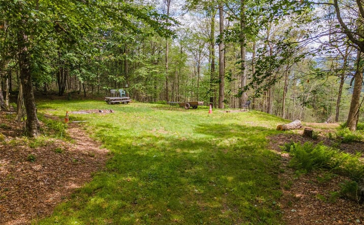 Pictures of Land property located at Jerry Kenney Road, Hancock, NY 13783 for sales - image #1