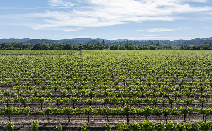 Pictures of Land property located at 374 Kinley Drive, Healdsburg, CA 95448 for sales - image #1