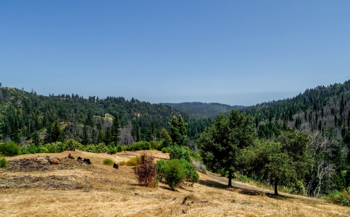Pictures of Land property located at 6600 Mill Creek Road, Healdsburg, CA 95448 for sales - image #1