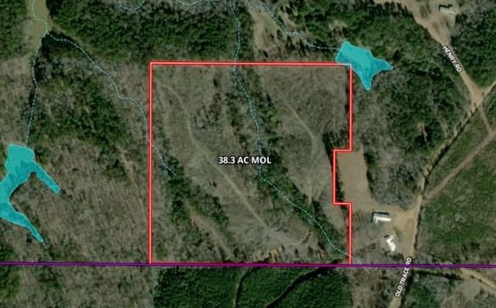 Pictures of Land property located at 00 Lewis Rd And Old Trace Rd, Mathiston, MS 39752 for sales - image #1