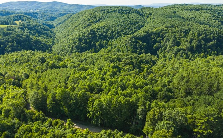 Pictures of Land property located at TBD Sawmill Hill Rd, Willis, VA 24380 for sales - image #1