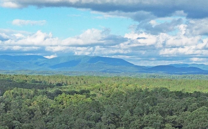 Pictures of Land property located at Lot 20 Mt. Springer Road, Ellijay, GA 30540 for sales - image #1