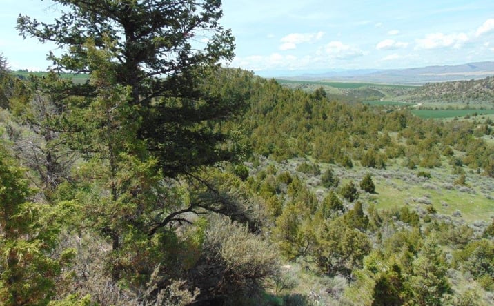 Pictures of Land property located at TBD Lone Wolf Trail, THREE FORKS, MT 59752 for sales - image #1