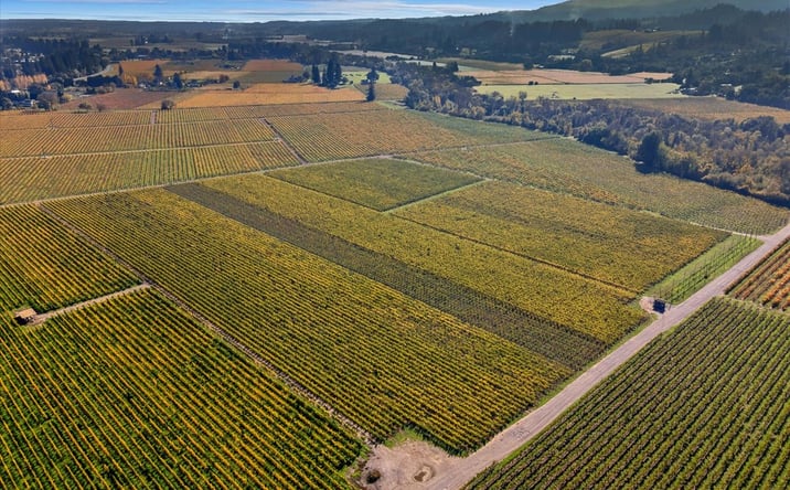 Pictures of Land property located at 636 Dry Creek Road, Healdsburg, CA 95448 for sales - image #1