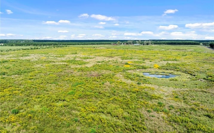 Pictures of Land property located at TBD Rea Road, DeRidder, LA 70634 for sales - image #1