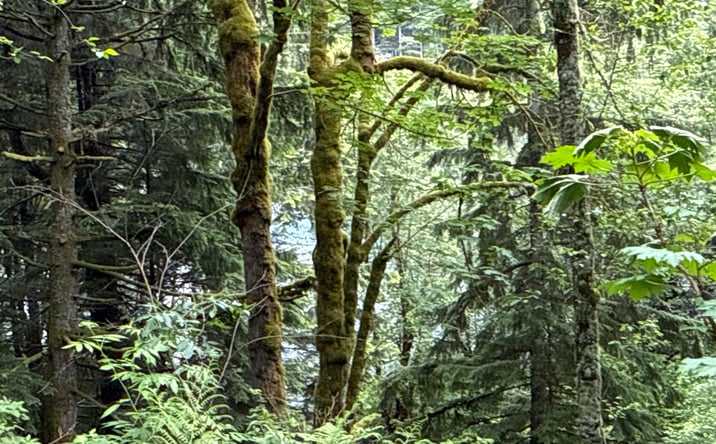 Pictures of Land property located at 376 XX E Lake Walker Dr SE, Enumclaw, WA 98022 for sales - image #1