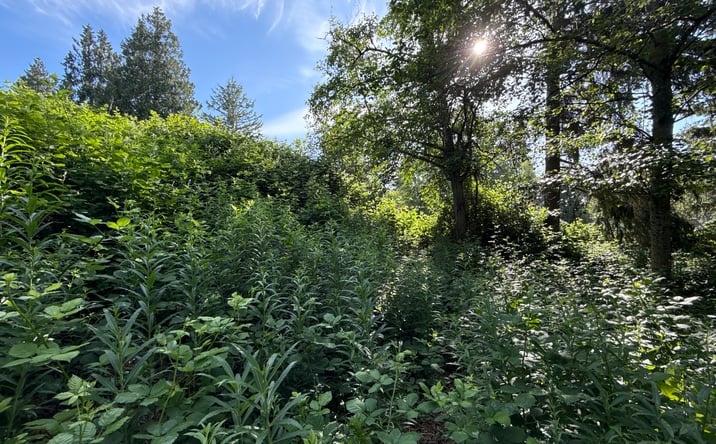 Pictures of Land property located at 2229 97th St SE, Lake Stevens, WA 98258 for sales - image #1