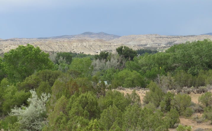 Pictures of Land property located at LOT 2A ROAD 2950, Aztec, NM 87410 for sales - image #1
