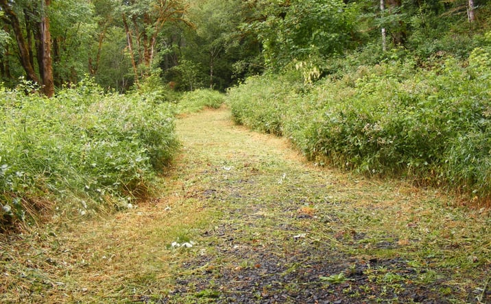 Pictures of Land, Mixed Use property located at TL20123255 E Alsea Highway, Alsea, OR 97324 for sales - image #1