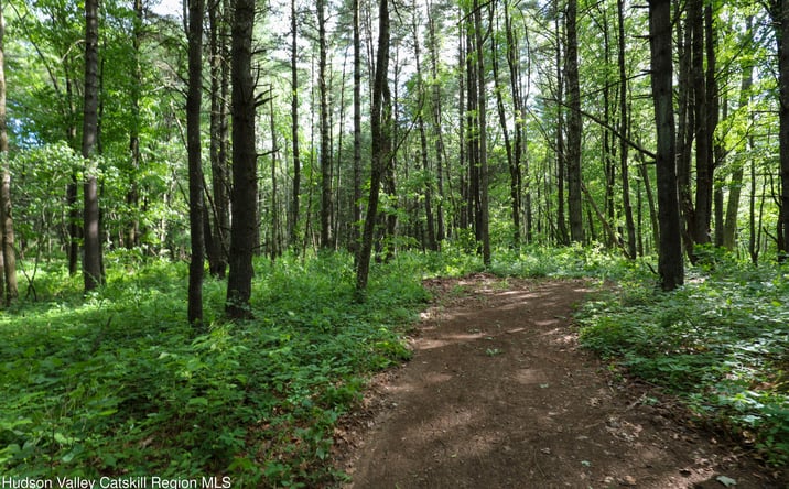 Pictures of Land property located at TBD Old Kings Road, Catskill, NY 12414 for sales - image #1