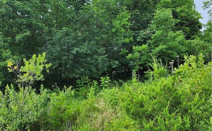 Pictures of Land, Special Purpose, Multifamily property located at 9 E Ridgewood Circle, Linn Valley, KS 66040 for sales - image #1