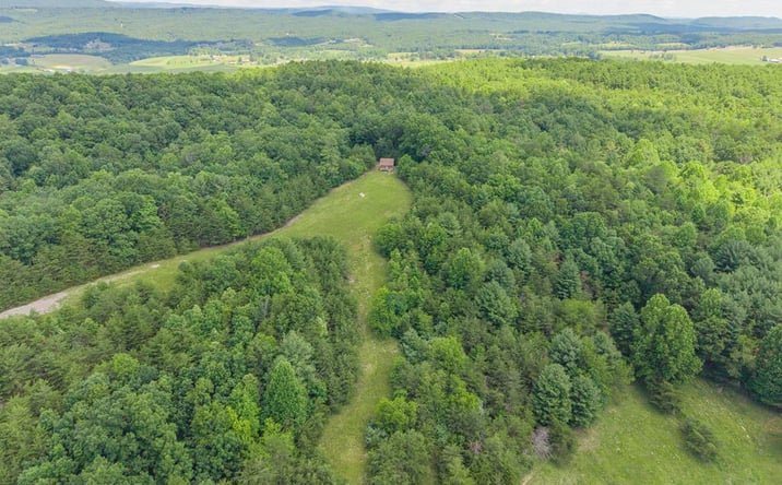 Pictures of Land, Multifamily property located at TBD Locust Hill Rd, Max Meadows, VA 24360 for sales - image #1
