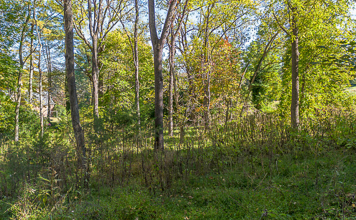 Pictures of Land property located at TBD Overlook Cir, Lexington, VA 24450 for sales - image #1