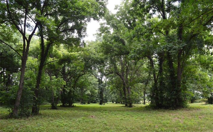 Pictures of Land property located at 64 S Highway 109, Hugo, OK 74743 for sales - image #1
