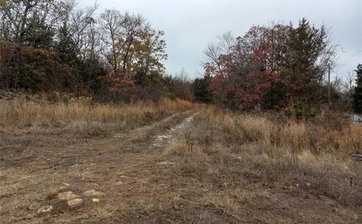 Pictures of Land property located at 100637 E 4500 Road S, Vian, OK 74962 for sales - image #1