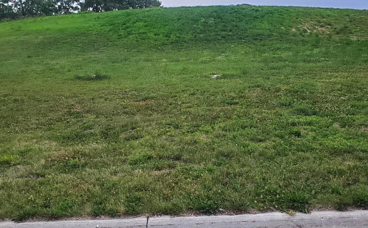 Pictures of Land, Special Purpose property located at 1212 N 16Th Street, Denison, IA 51442 for sales - image #1