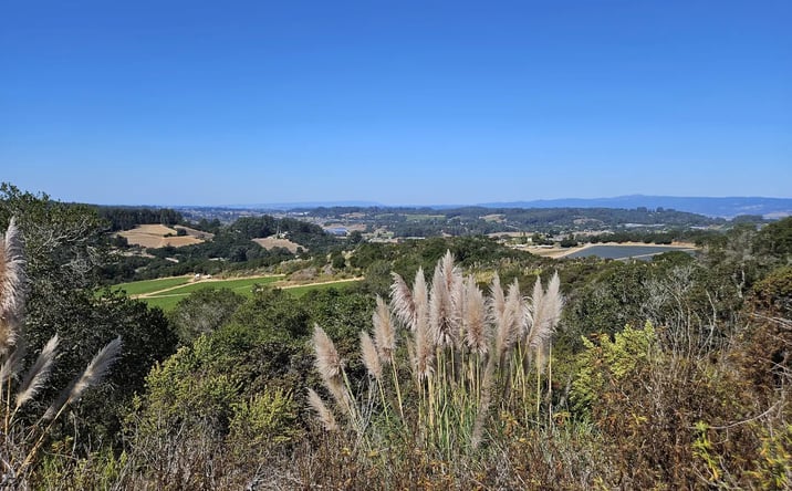 Pictures of Land property located at 417 Maher Rd, Prunedale, CA 95076 for sales - image #1