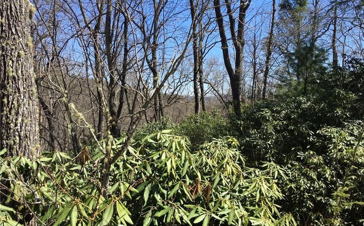 Pictures of Land property located at M80 Pine Mountain Trail M80, Brevard, NC 28712 for sales - image #1