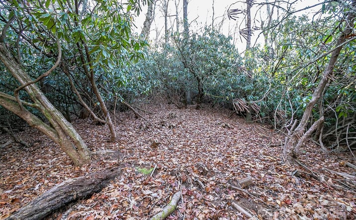 Pictures of Land property located at TBD Dundee Lane 6A, Pisgah Forest, NC 28768 for sales - image #1