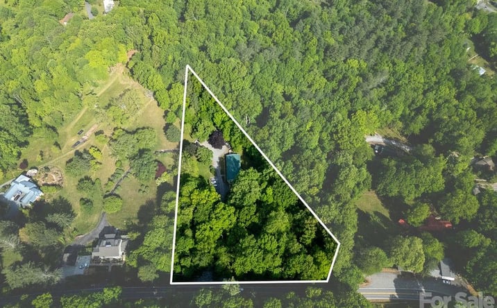 Pictures of Mixed Use property located at 4204 Greenville Highway, Brevard, NC 28712 for sales - image #1