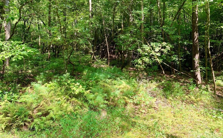 Pictures of Land property located at 6 Double Creek Road, Brevard, NC 28712 for sales - image #1